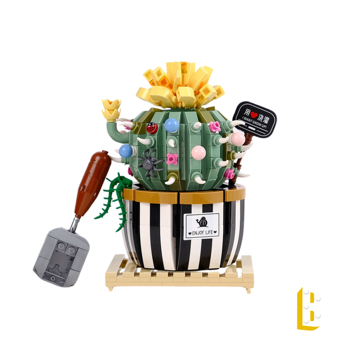 Le cactus rond