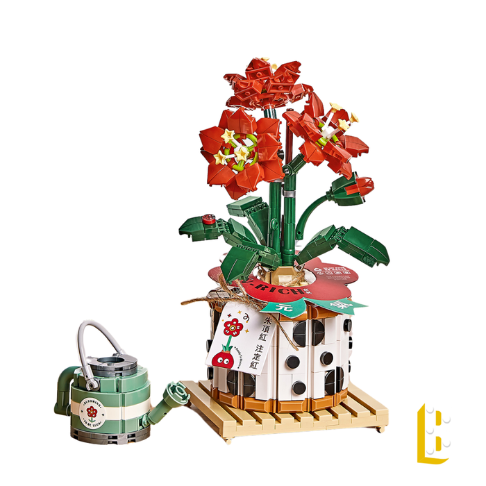 L'amaryllis