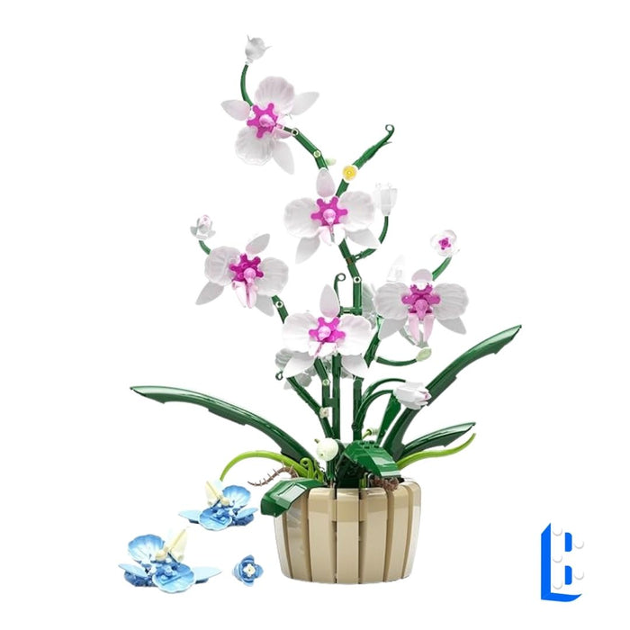 L'orchidée aux pétales interchangeable (vase inclus)