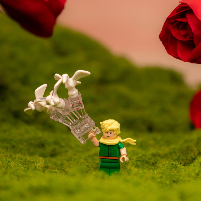 Le Petit Prince® Cadre 3D de la Rose