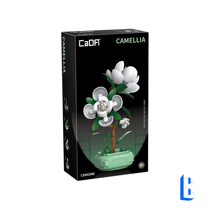 Cada Le camélia