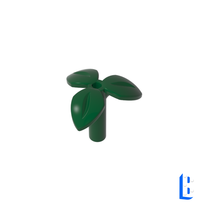 Plante feuillage - Dark Green