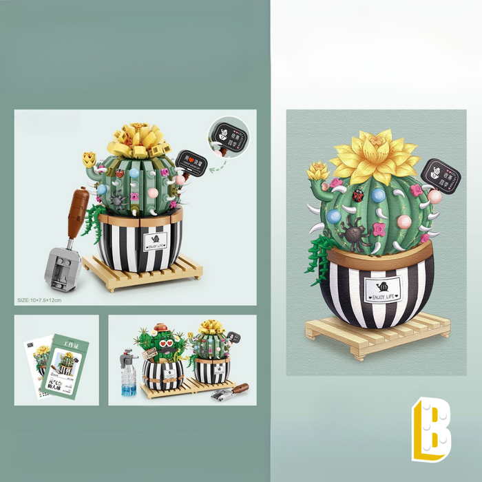 Le cactus rond