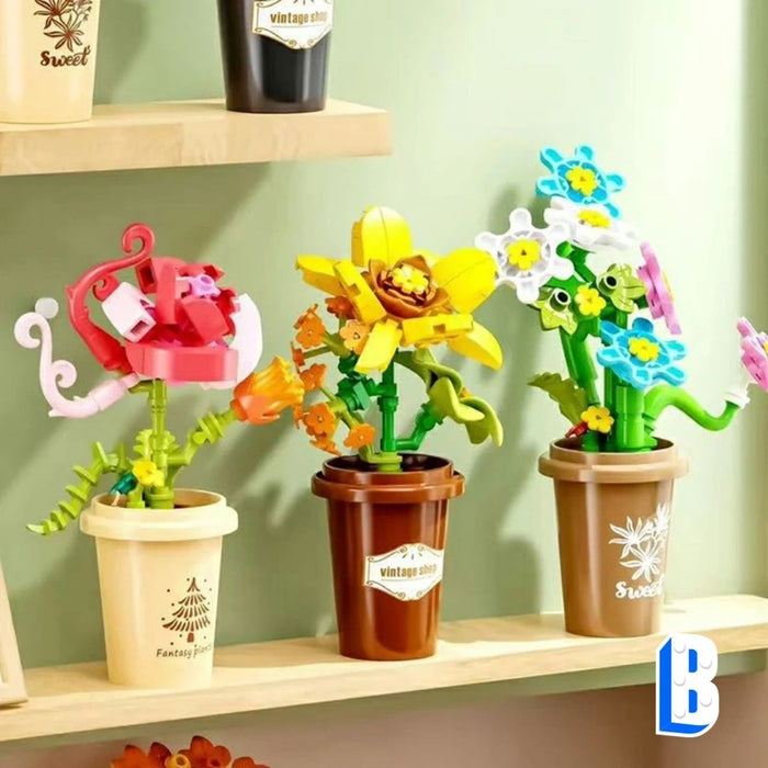L'ensemble de petits pots fleurit