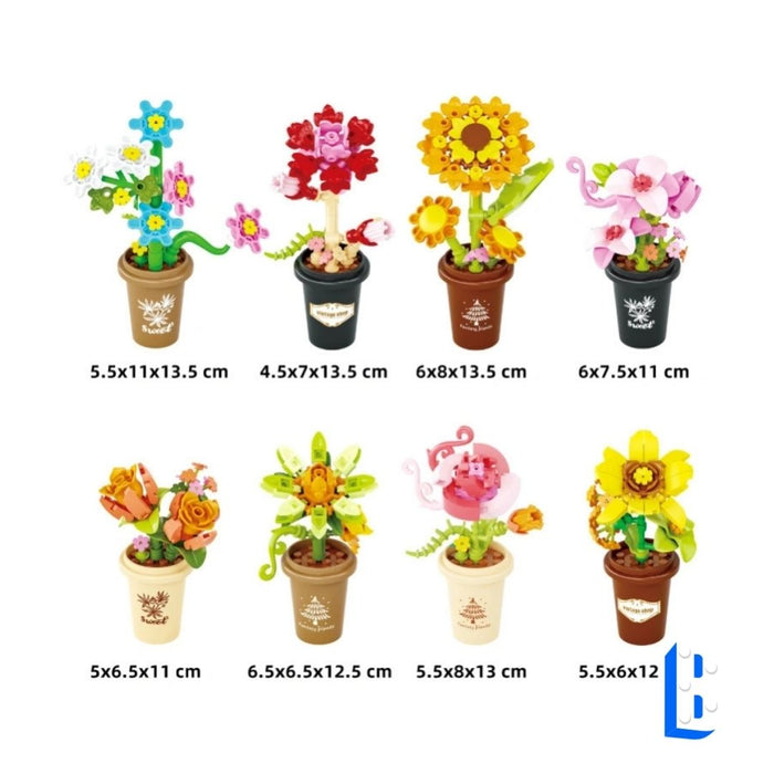 L'ensemble de petits pots fleurit