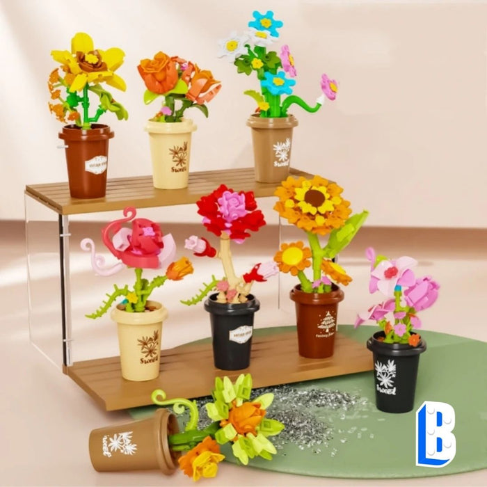 L'ensemble de petits pots fleurit