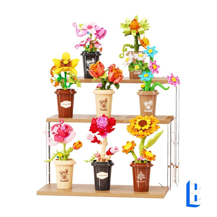 L'ensemble de petits pots fleurit