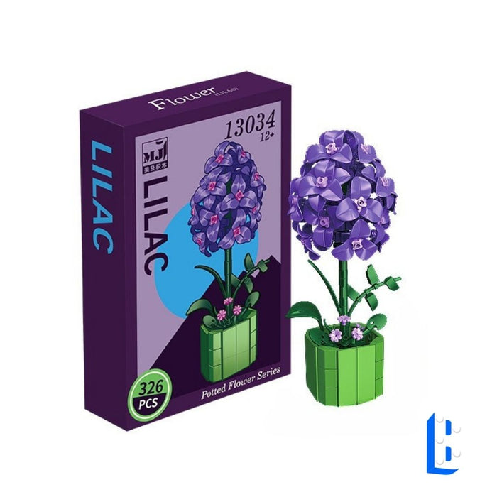 Le petit pot - Le lila