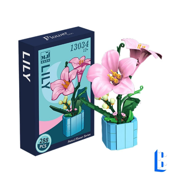 Le petit pot - La lys rose