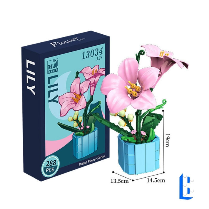Le petit pot - La lys rose