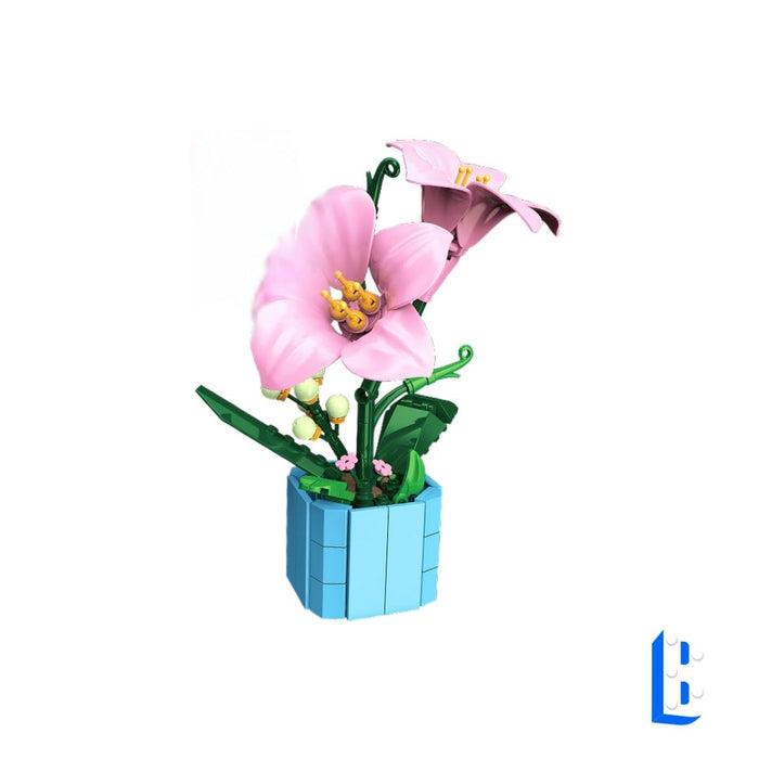 Le petit pot - La lys rose