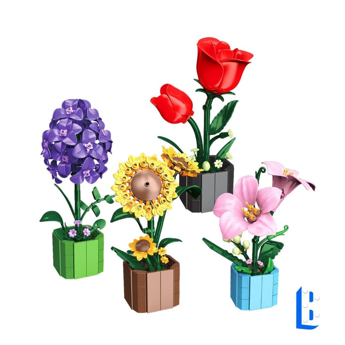 Les petits pots - Collection 1