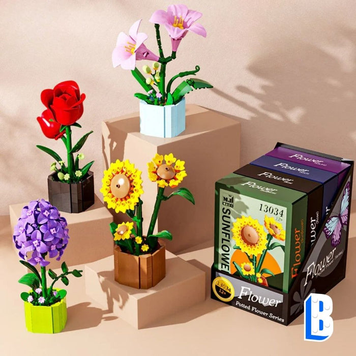 Les petits pots - Collection 1