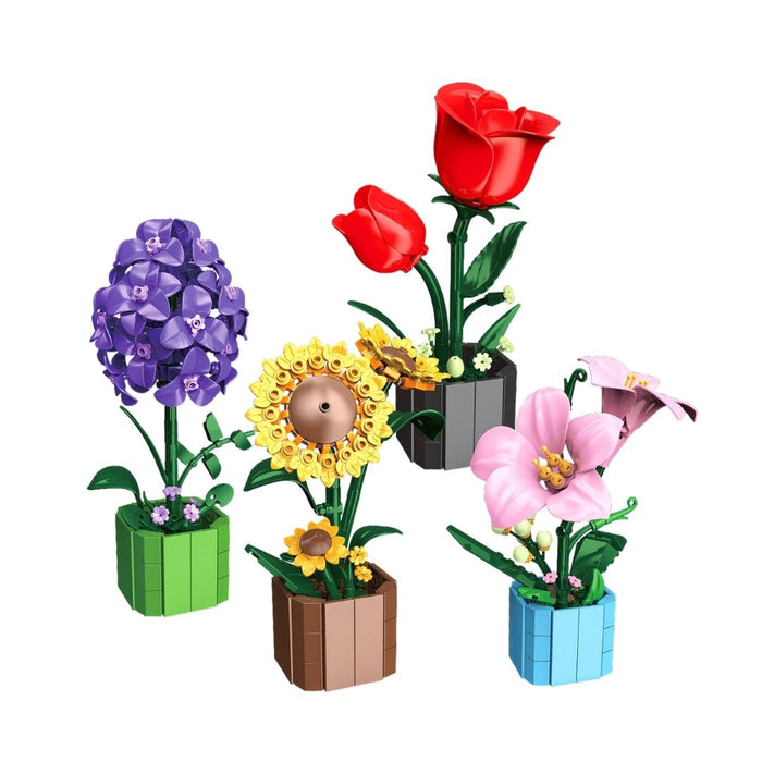 Les petits pots - Collection 1