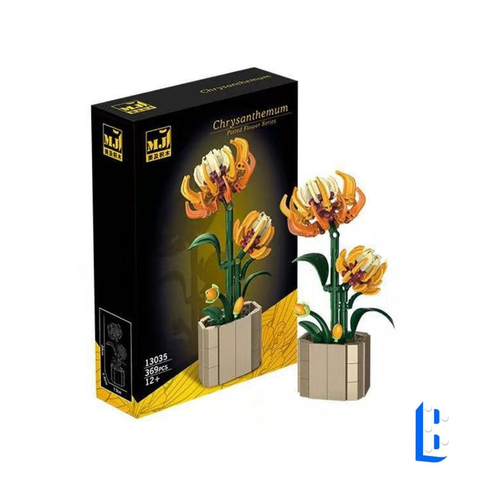 Le petit pot - La chrysanthème