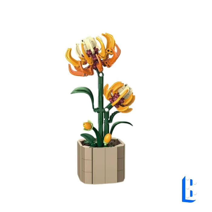 Le petit pot - La chrysanthème