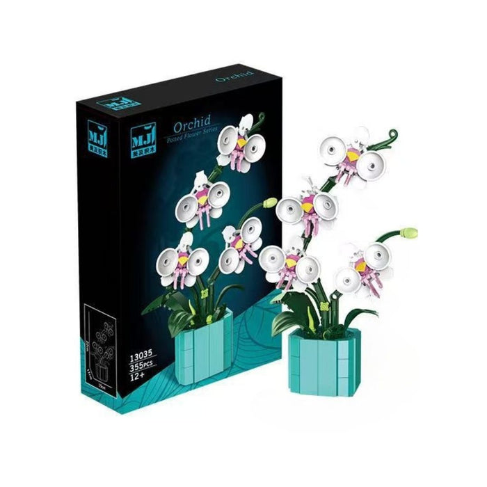 Le petit pot - L'orchidée