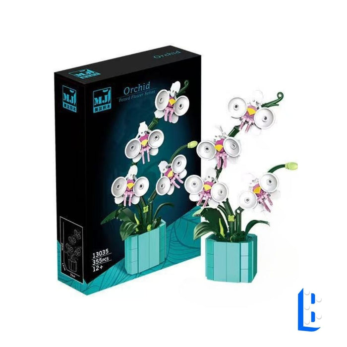 Le petit pot - L'orchidée