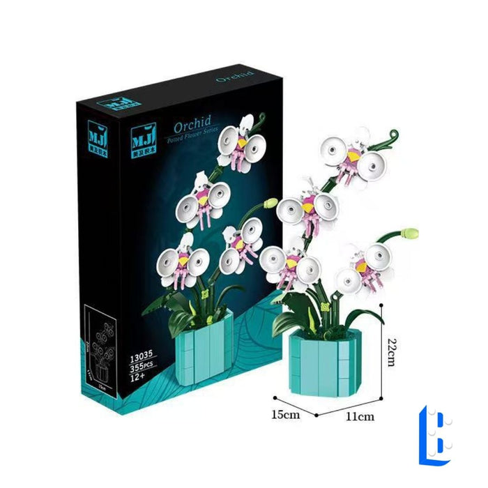 Le petit pot - L'orchidée