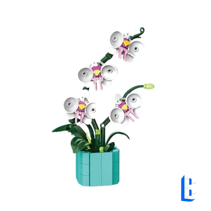 Le petit pot - L'orchidée