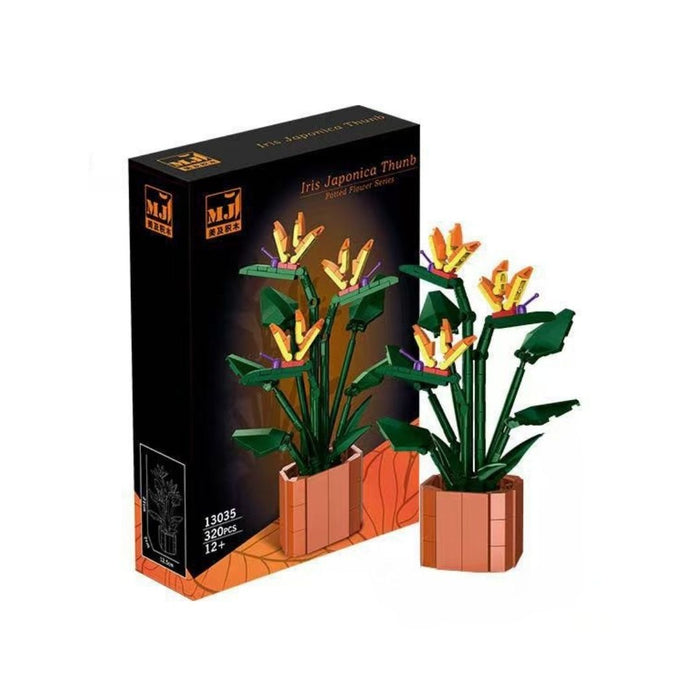 Le petit pot - L'oiseau de paradis