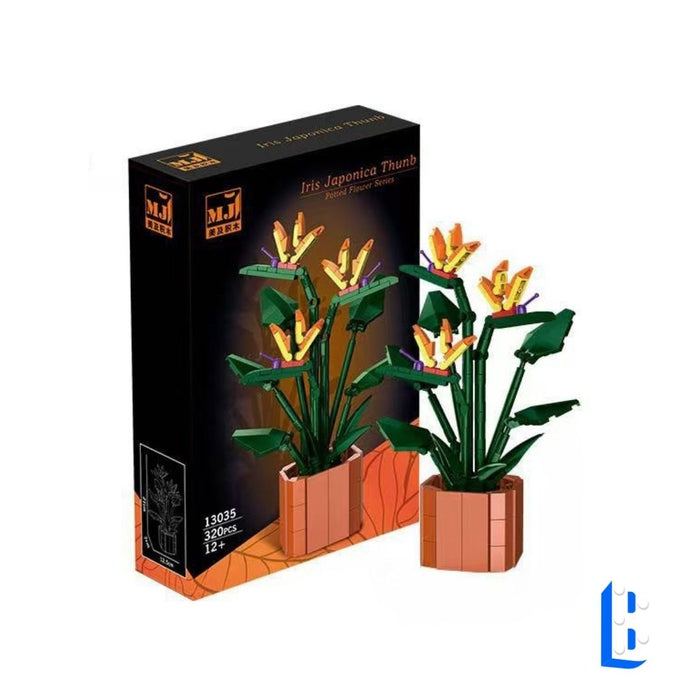 Le petit pot - L'oiseau de paradis