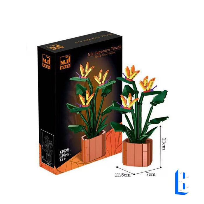 Le petit pot - L'oiseau de paradis