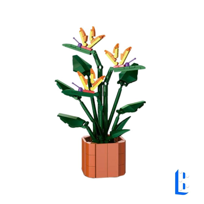 Le petit pot - L'oiseau de paradis