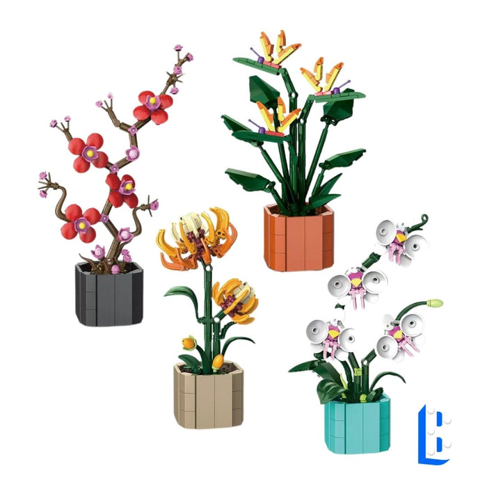 Les petits pots - Collection 2