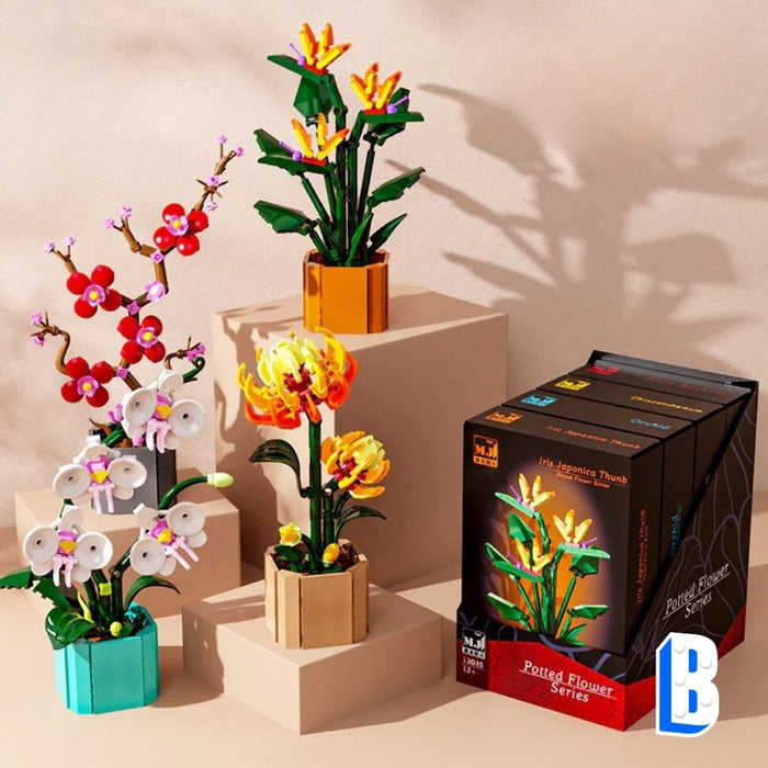 Les petits pots - Collection 2