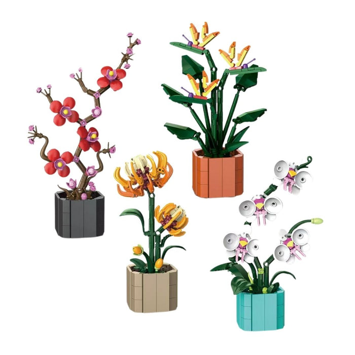 Les petits pots - Collection 2