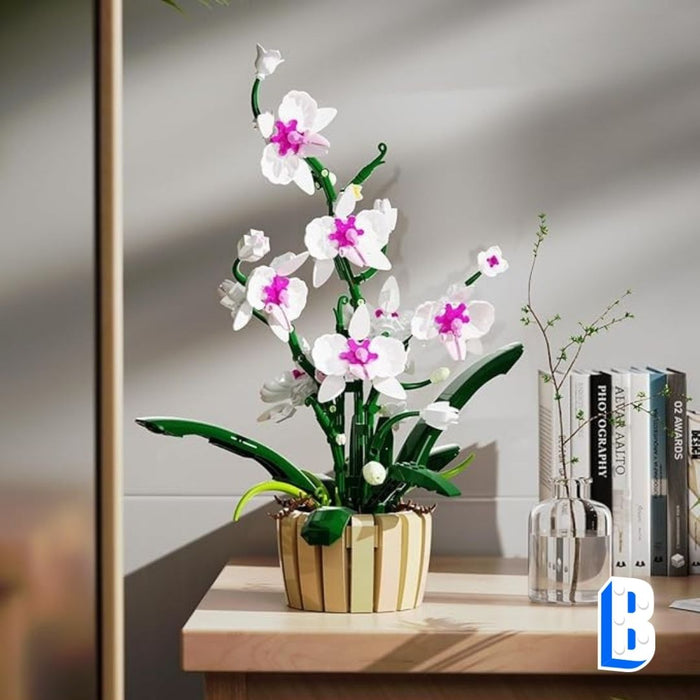 L'orchidée aux pétales interchangeable (vase inclus)