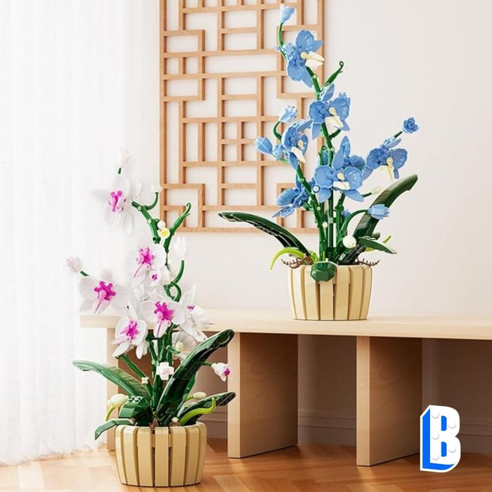 L'orchidée aux pétales interchangeable (vase inclus)