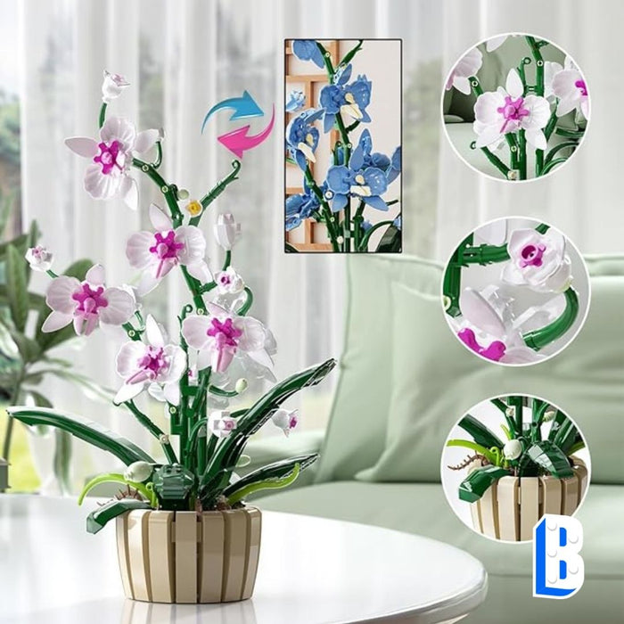 L'orchidée aux pétales interchangeable (vase inclus)