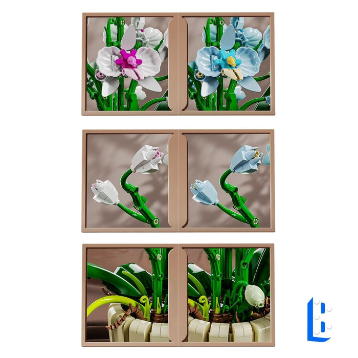L'orchidée aux pétales interchangeable (vase inclus)