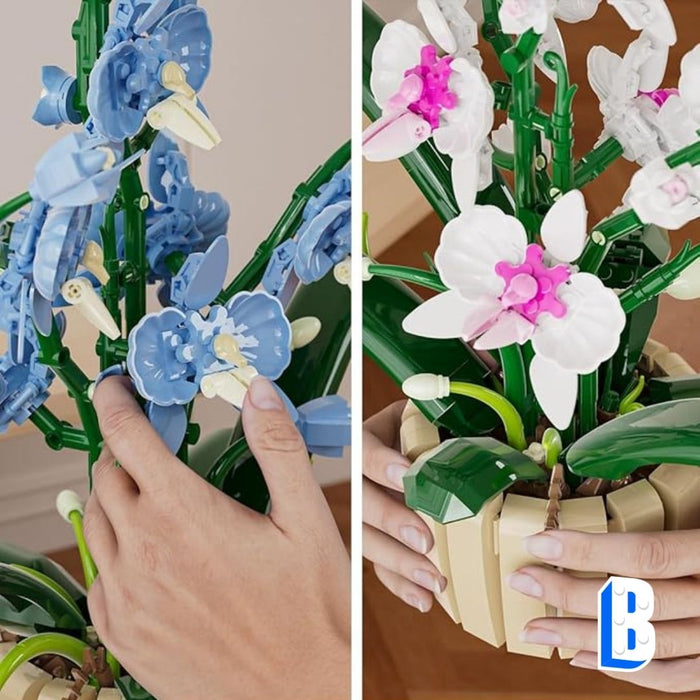 L'orchidée aux pétales interchangeable (vase inclus)