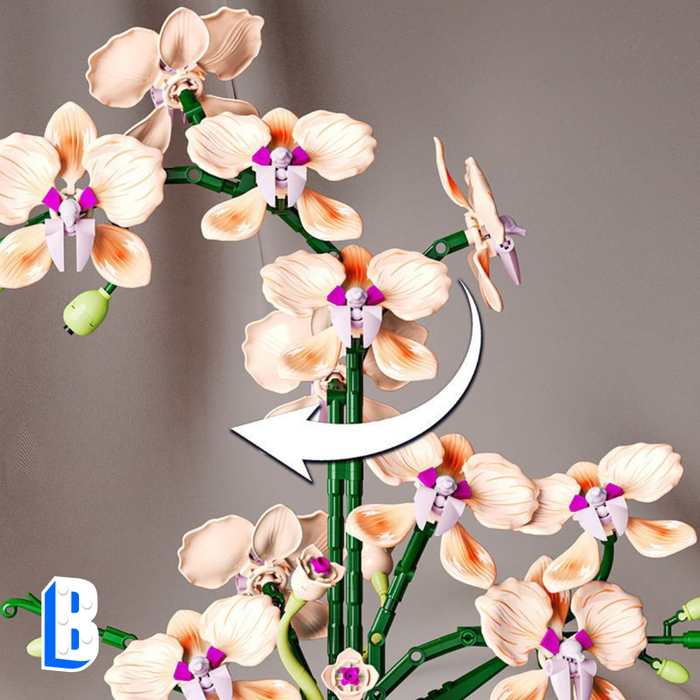 L'orchidée couleur champagne (vase inclus)