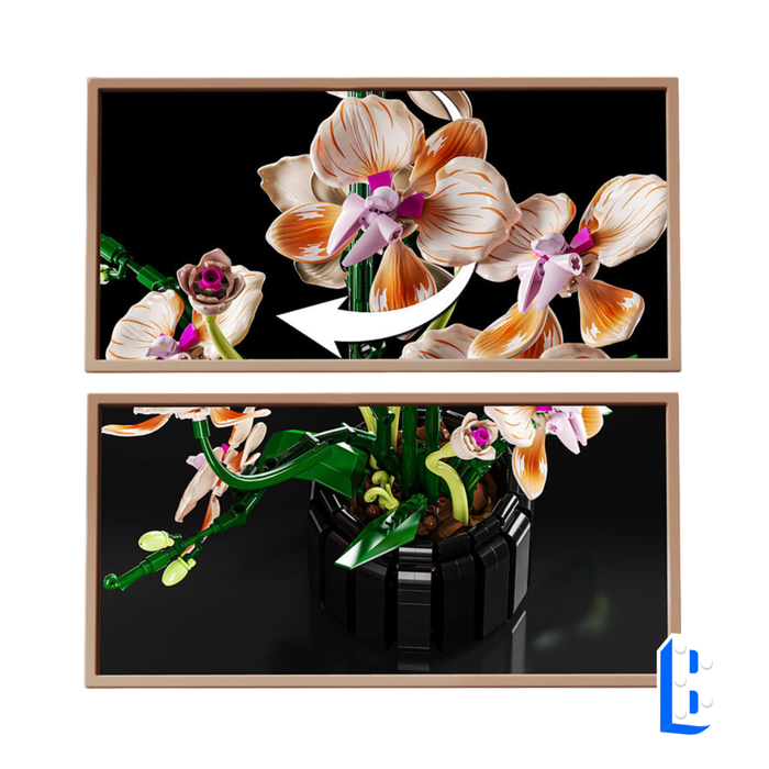 L'orchidée couleur champagne (vase inclus)