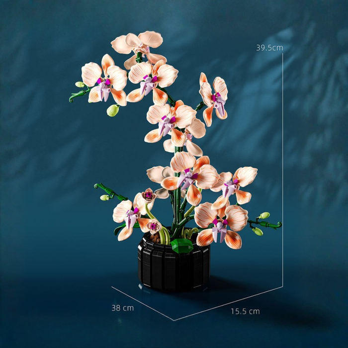 L'orchidée couleur champagne (vase inclus)