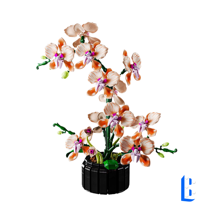 L'orchidée couleur champagne (vase inclus)