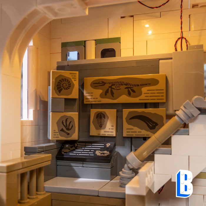 Le musée des dinosaures - Kit LED inclus